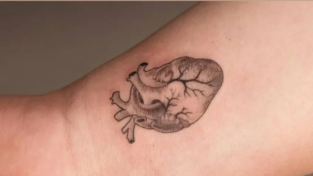 Tiny Anatomical Heart